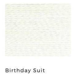 Trailhead Yarn - Birthday Suit 001 Thread Trailhead Yarns 