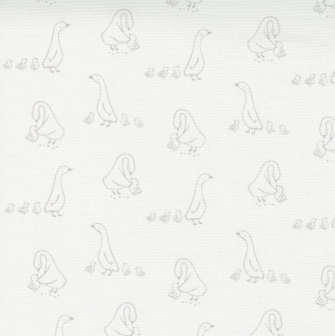 Little Ducklings; Duck Walk - White  97” x WOF (44”)