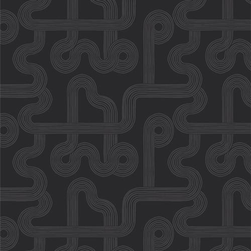 AGF Duality Fusion; Winding Course Black - COMING SOON Fabric Art Gallery Fabrics 